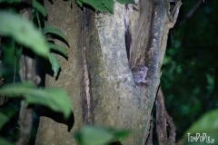 DSC00048