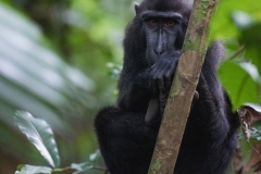 DSC00320-2